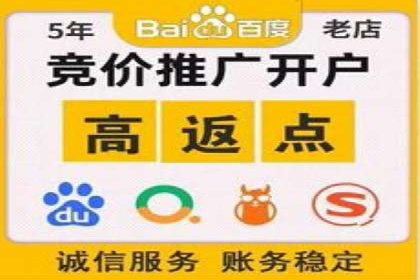 百度推广代运营案例：行业领先企业的成功之道